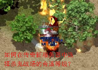 ڴ·ѡɱսĺʵȼ