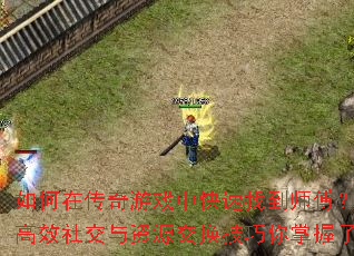 ڴϷпҵʦЧ罻Դ