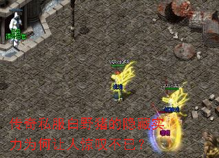 ˽ҰʵΪ˾̾ѣ