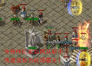 PKδֿٳɳΪս