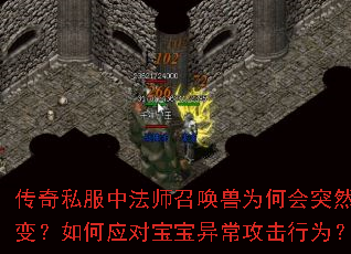 传奇私服中法师召唤兽为何会突然叛变?如何应对宝宝异常攻击行为? 传奇私服中法师召唤兽为何会突然叛变?如何应对宝宝异常攻击行为?