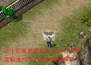 战士玩家武器该怎么选?多维度职业特性与战斗风格解析 战士玩家武器该怎么选?多维度职业特性与战斗风格解析