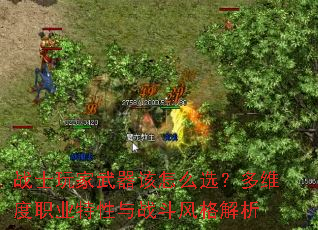 战士玩家武器该怎么选?多维度职业特性与战斗风格解析 战士玩家武器该怎么选?多维度职业特性与战斗风格解析