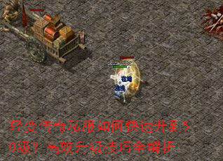 轻变传奇私服如何快速升到50级?高效升级技巧全解析 轻变传奇私服如何快速升到50级?高效升级技巧全解析