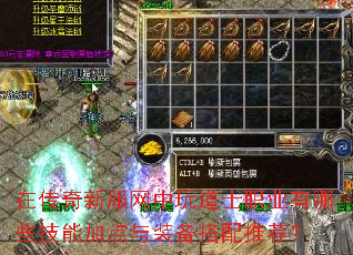 在传奇新服网中玩道士职业有哪些技能加点与装备搭配推荐? 在传奇新服网中玩道士职业有哪些技能加点与装备搭配推荐?