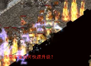 传奇宝宝如何快速升级? 传奇宝宝如何快速升级?