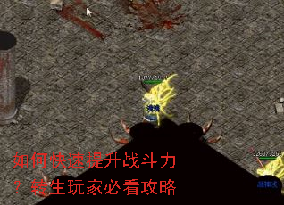 如何快速提升战斗力?转生玩家必看攻略 如何快速提升战斗力?转生玩家必看攻略