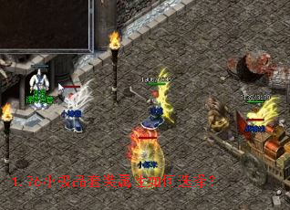 1.76小极品套装属性如何选择? 1.76小极品套装属性如何选择?