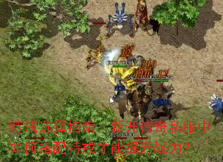 特戒选择指南:新开传奇私服中如何搭配特戒才能提升战力? 特戒选择指南:新开传奇私服中如何搭配特戒才能提升战力?