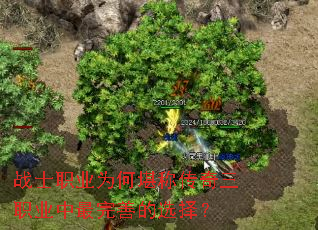 սʿְҵΪºÎ¿°³Æ´«ÆæÈýÖ°ÒµÖÐ×îÍêÉÆµÄÑ¡Ôñ£¿ սʿְҵΪºÎ¿°³Æ´«ÆæÈýÖ°ÒµÖÐ×îÍêÉÆµÄÑ¡Ôñ£¿