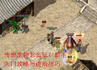 传奇生物怎么玩?新手入门攻略与进阶技巧 传奇生物怎么玩?新手入门攻略与进阶技巧