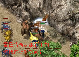 雷曼传奇私服新手如何快速提升等级? 雷曼传奇私服新手如何快速提升等级?