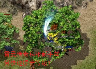 雷曼传奇私服新手如何快速提升等级? 雷曼传奇私服新手如何快速提升等级?