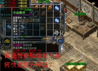 雷曼传奇私服新手如何快速提升等级? 雷曼传奇私服新手如何快速提升等级?