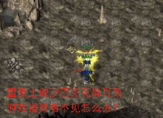 盟重土城沙巴克花屏导致游戏道具看不见怎么办? 盟重土城沙巴克花屏导致游戏道具看不见怎么办?