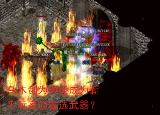 乌木剑为何能成为新手玩家的首选武器? 乌木剑为何能成为新手玩家的首选武器?