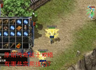 原始传奇战士攻略有哪些实用技巧? 原始传奇战士攻略有哪些实用技巧?