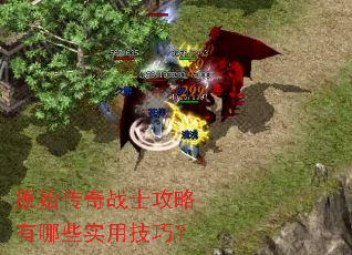 原始传奇战士攻略有哪些实用技巧? 原始传奇战士攻略有哪些实用技巧?