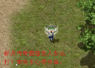 新开传奇瘟疫鱼人怎么打?求高手心得分享。 新开传奇瘟疫鱼人怎么打?求高手心得分享。