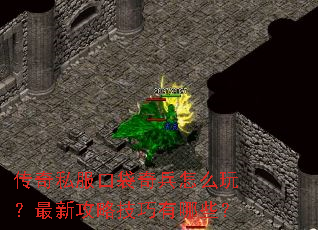 传奇私服口袋奇兵怎么玩?最新攻略技巧有哪些? 传奇私服口袋奇兵怎么玩?最新攻略技巧有哪些?