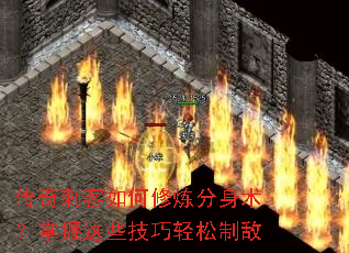 ����̿����������������������Щ���������Ƶ�