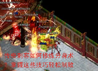 ����̿����������������������Щ���������Ƶ�