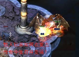 ɢ���������ڸ��Ŵ��������沢��ǿ��