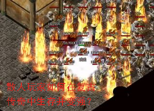 ɢ���������ڸ��Ŵ��������沢��ǿ��