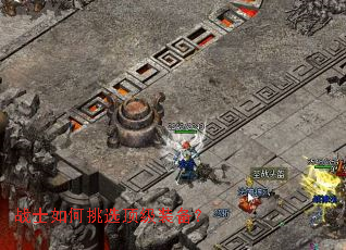 սʿ�����ѡ����װ����