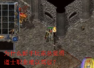 Ϊʲô��������ܾ��õ�ʿְҵ���Լ�Ԧ��