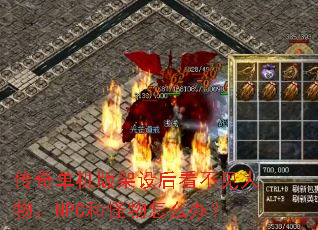 ���浥�������󿴲������NPC�͹�����ô�죿