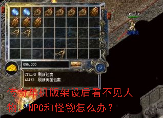 ���浥�������󿴲������NPC�͹�����ô�죿