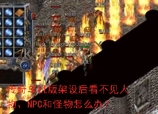 ���浥�������󿴲������NPC�͹�����ô�죿