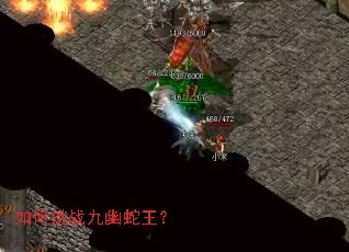 如何挑战九幽蛇王? 如何挑战九幽蛇王?