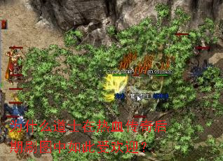 为什么道士在热血传奇后期刷图中如此受欢迎? 为什么道士在热血传奇后期刷图中如此受欢迎?