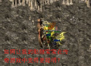 如何让我的骷髅宝宝在传奇游戏中变得更聪明? 如何让我的骷髅宝宝在传奇游戏中变得更聪明?