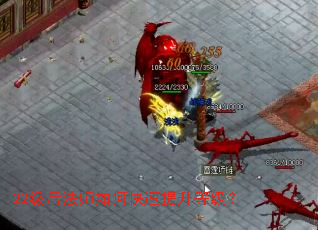 22����ʦ��ο��������ȼ���