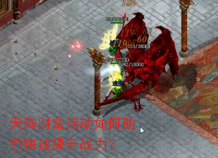 �콵�Ƹ����������������ս����