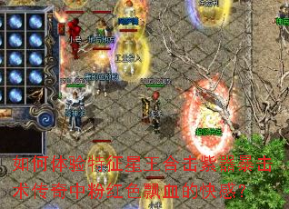 ����������������ϻ����������������зۺ�ɫƮѪ�Ŀ�У�