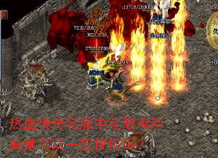 热血传奇私服中花雕鸡和鹿茸可以一起使用吗? 热血传奇私服中花雕鸡和鹿茸可以一起使用吗?