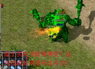 ��ʿʵ�ü�������Щ����Щ�����������ս������