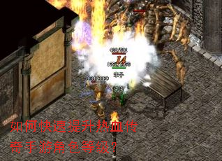 ��ο���������Ѫ�������ν�ɫ�ȼ���