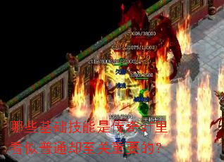 ��Щ���������Ǵ���sf�￴����ͨȴ������Ҫ�ģ�