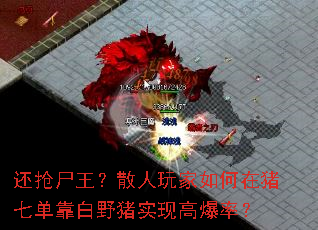 ����ʬ����ɢ�������������ߵ�����Ұ��ʵ�ָ߱��ʣ�