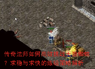 传奇法师如何高效挑战天狼蜘蛛?求稳与求快的练级策略解析 传奇法师如何高效挑战天狼蜘蛛?求稳与求快的练级策略解析