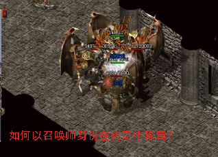 ������ٻ�ʦ�����ڴ����гưԣ�