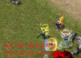 如何高效分配巫族领地资源以应对持久挑战? 如何高效分配巫族领地资源以应对持久挑战?