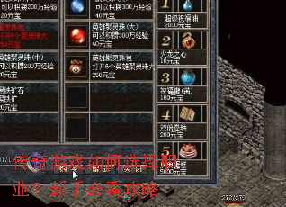 ������Ϸ���ѡ��ְҵ�����ֱؿ�����