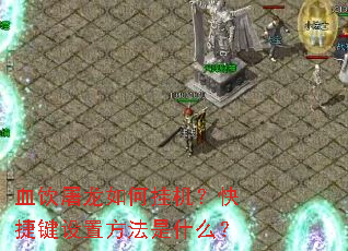 Ѫ��������ιһ�����ݼ����÷�����ʲô��