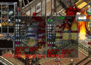 传奇法师究竟掌握多少种技能? 传奇法师究竟掌握多少种技能?